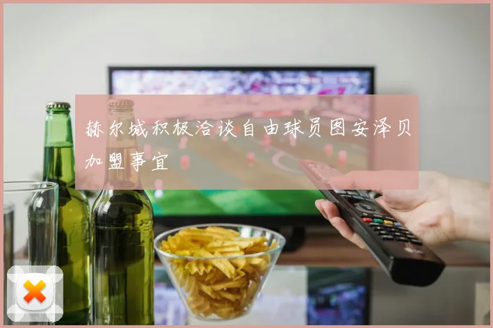 赫尔城积极洽谈自由球员图安泽贝加盟事宜